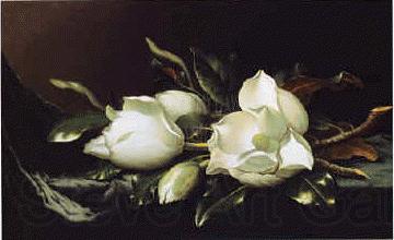 Martin Johnson Heade Magnolia